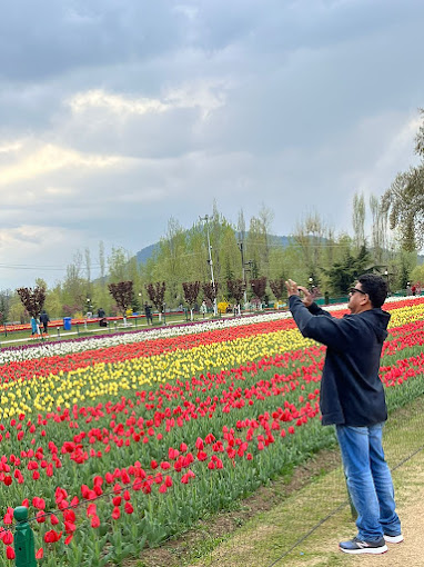 best-jammu-kashmir-tour-plan